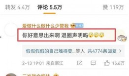 王四粉丝爆料视频大全最新,独家揭秘幕后故事