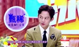 何炅爆料维嘉视频,揭秘幕后的精彩瞬间